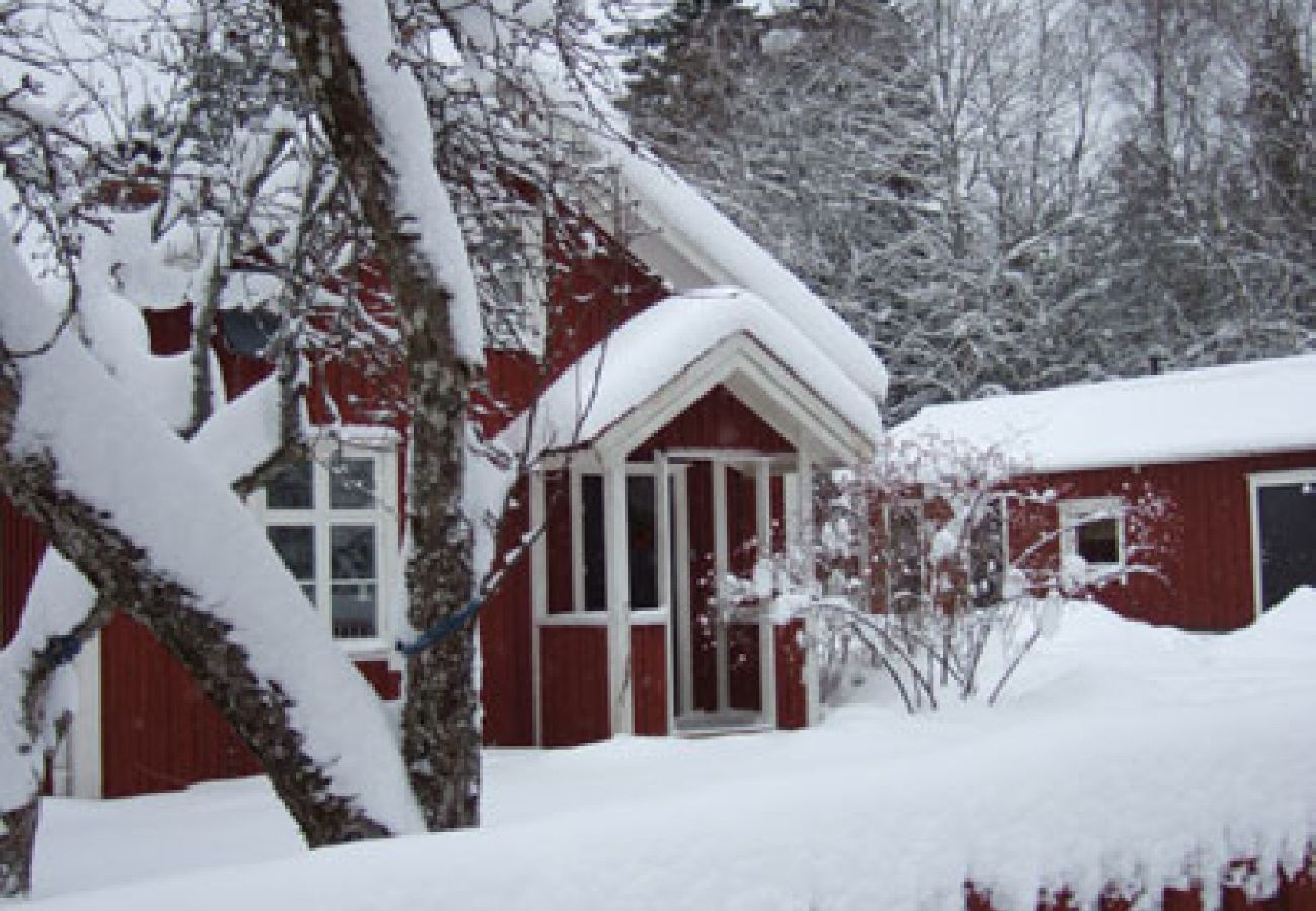 Ferienhaus in Tranemo - Ferienhaus am See und 15 Minuten vom Skigebiet Isaberg
