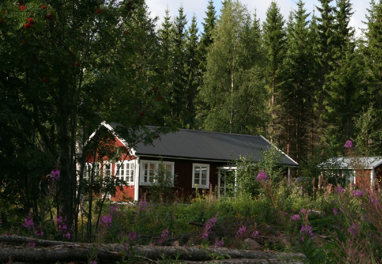 Ferienhaus in Bergsjö - Stuga Älvsund