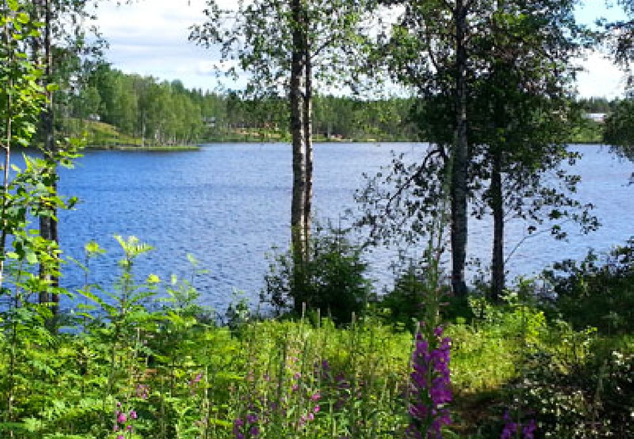 Ferienhaus in Abborrträsk - Sjöstuga Abborrträsk