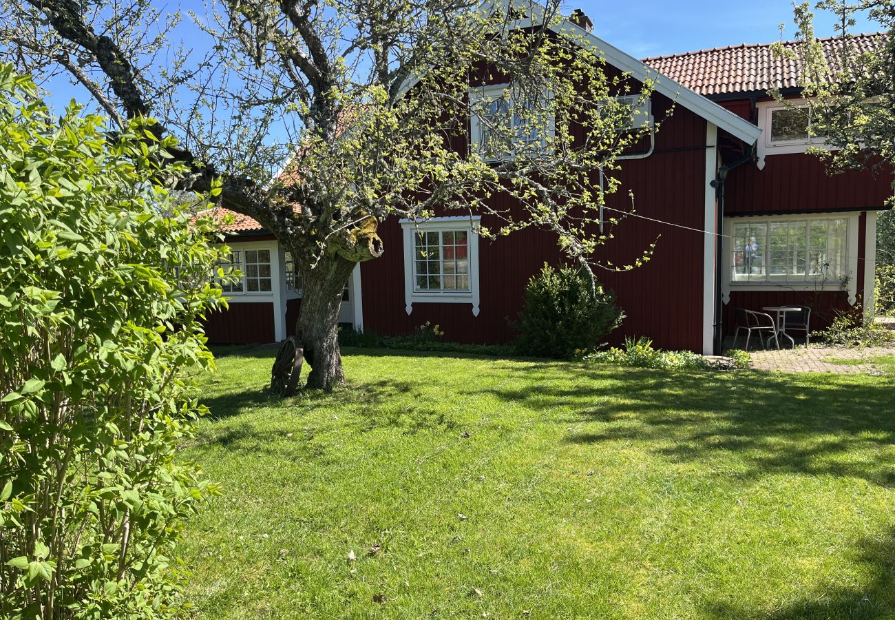 Ferienhaus in Köpmannebro - Einzigartiges Ferienhaus 40 Meter vom Wasser