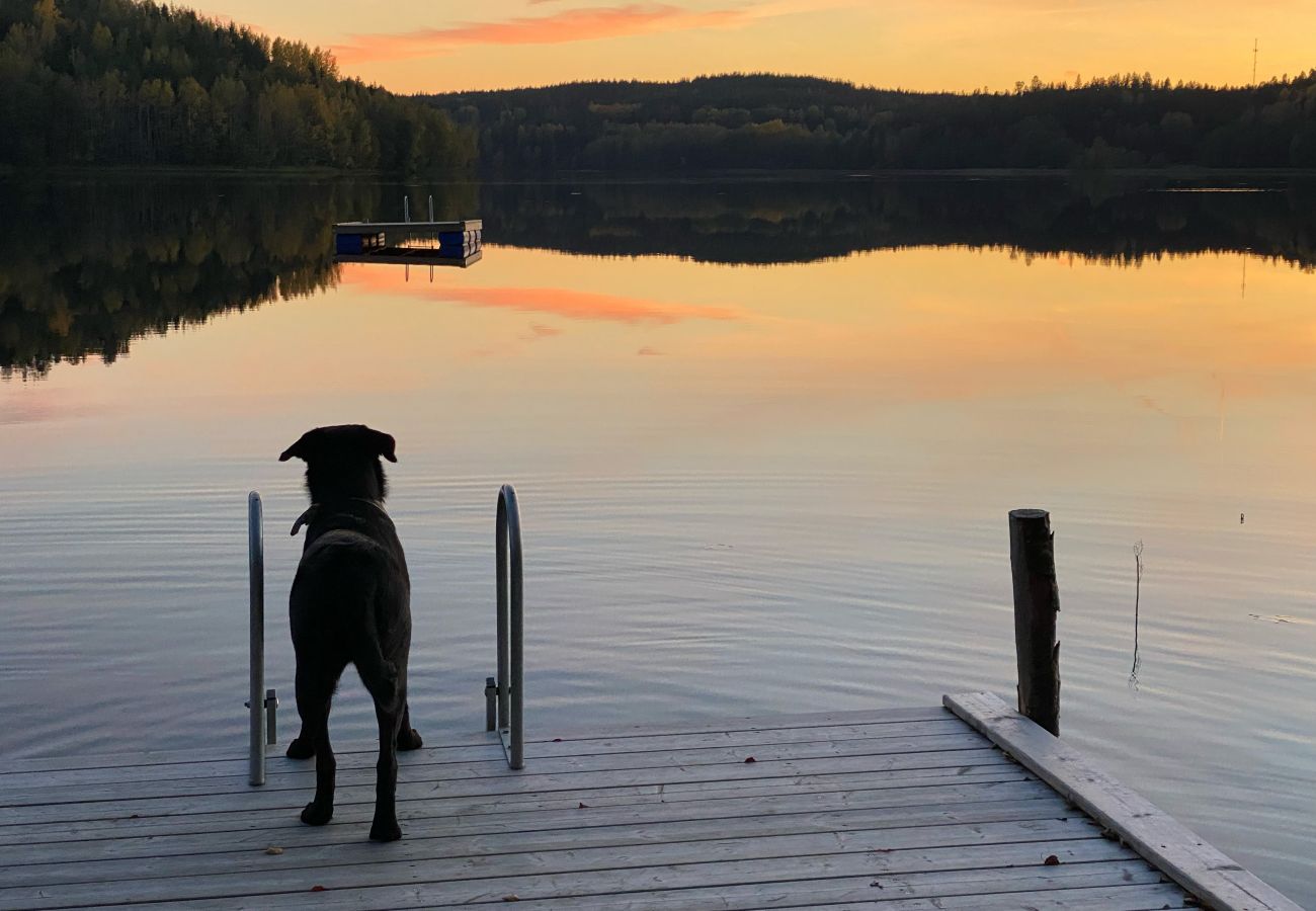 Ferienhaus in Valdemarsvik - Modernes Ferienhaus mit Boot und Wlan auf dem Lande