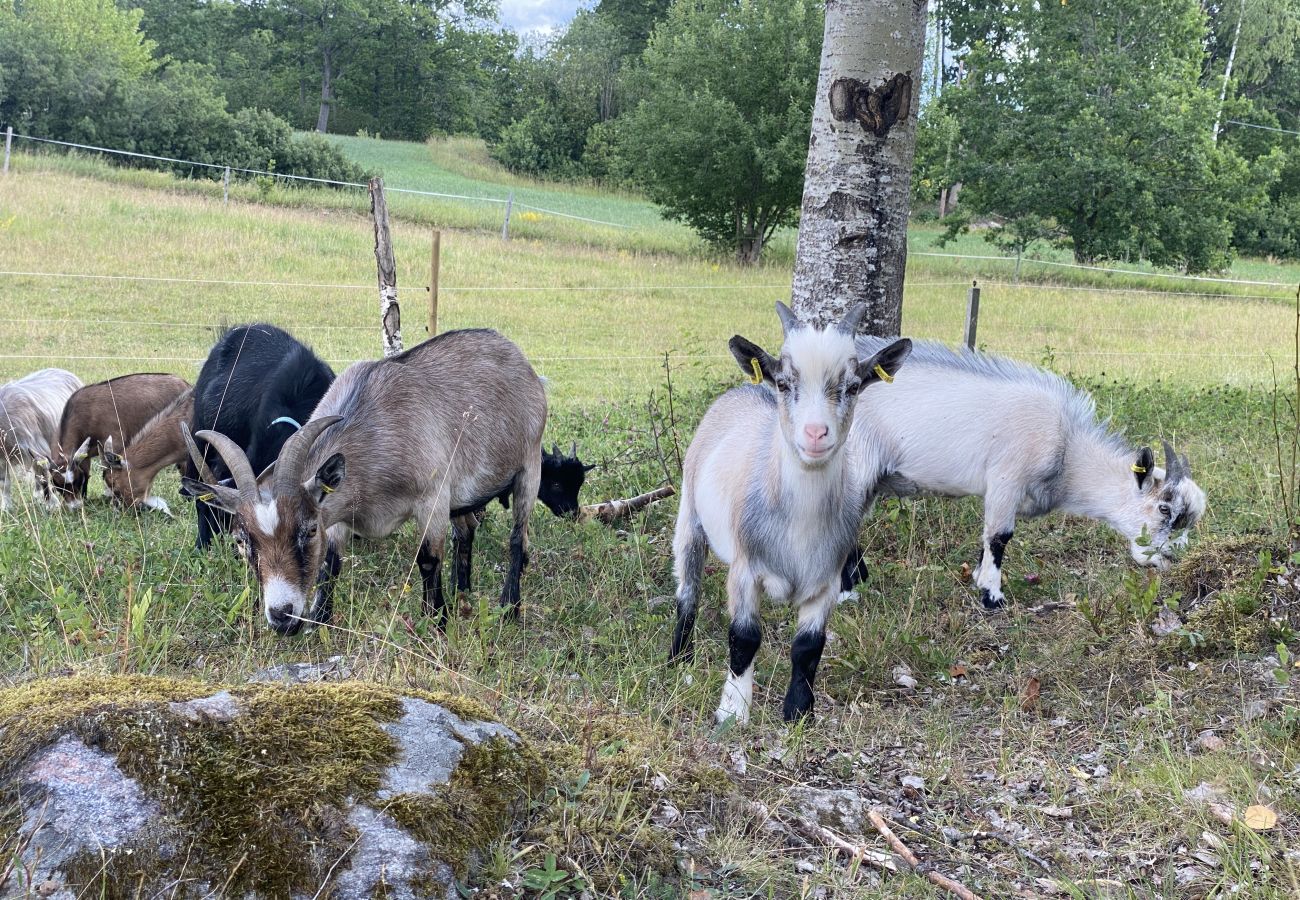 Ferienhaus in Valdemarsvik - Modernes Ferienhaus mit Boot und Wlan auf dem Lande