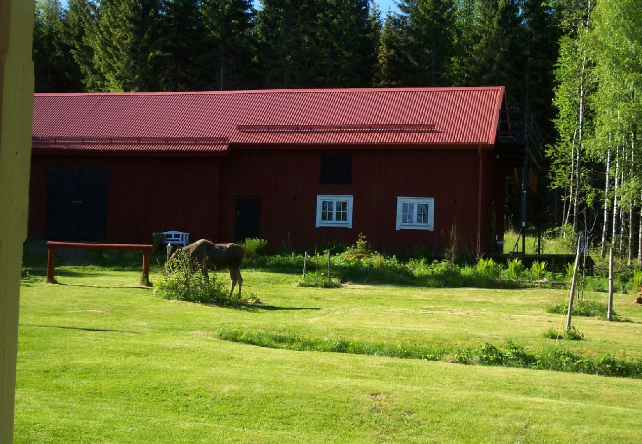 Ferienhaus in Hagfors - Idyllischer Waldhof mit Alleinlage in der Wildnis