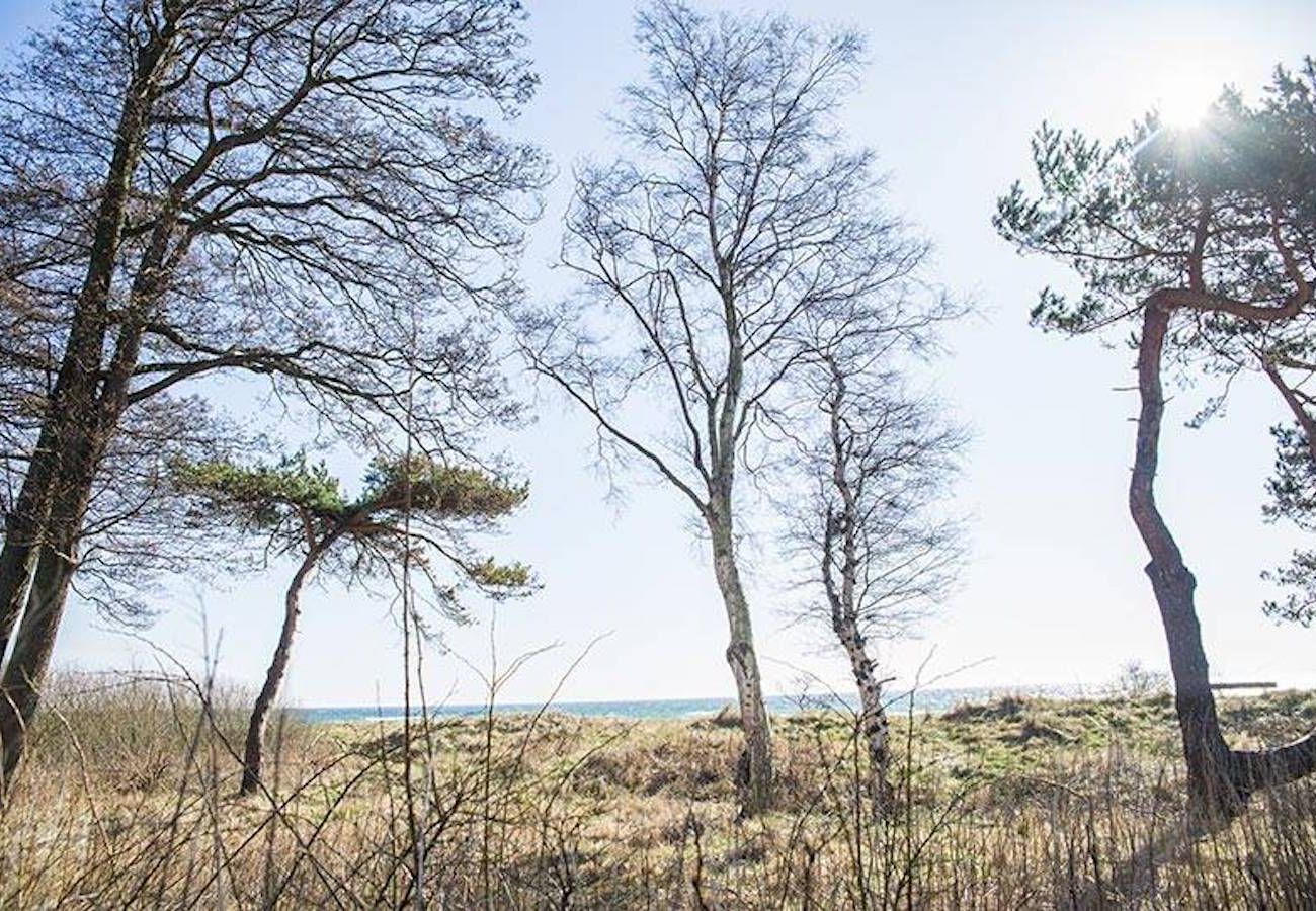 Ferienhaus in Smygehamn - Smygehus Urlaubs-Resort direkt an der Ostsee