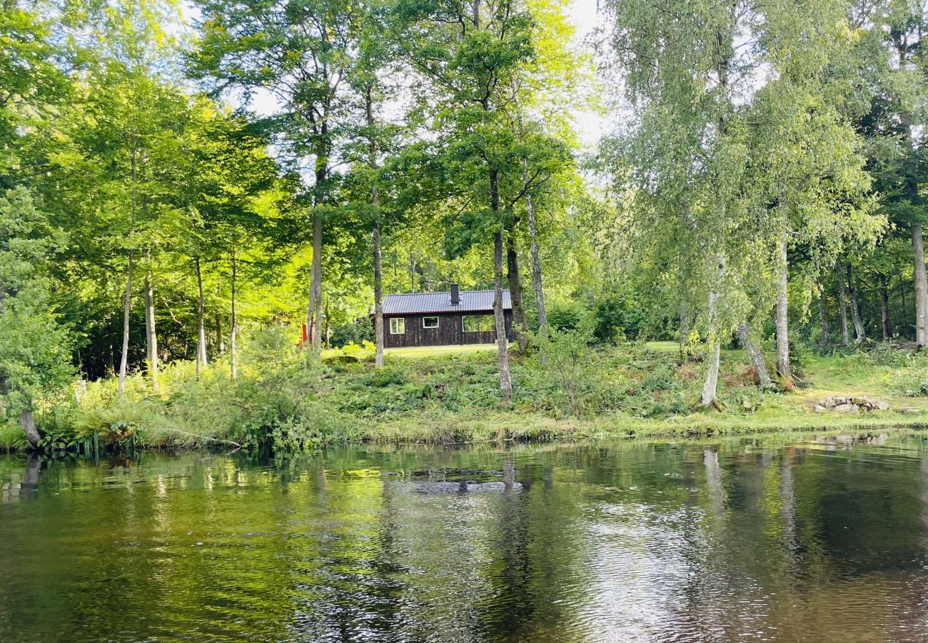 Ferienhaus in Broby - Modernes Ferienhaus am Ufer des Helgeån