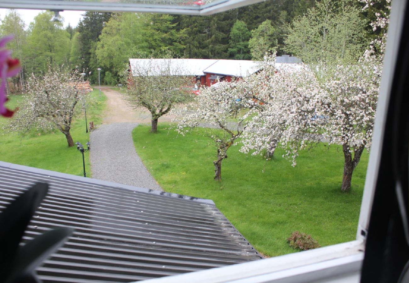 Ferienhaus in Långasjö - Skogsgård Sibbahultsmåla