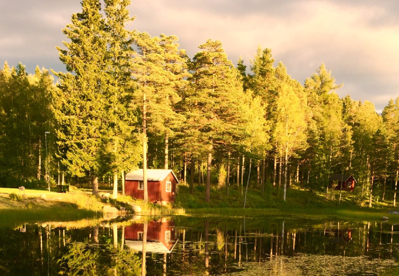 Ferienhaus in Sunnansjö - Ferienhaus 10 MInuten vom Skigebiet Säfsen