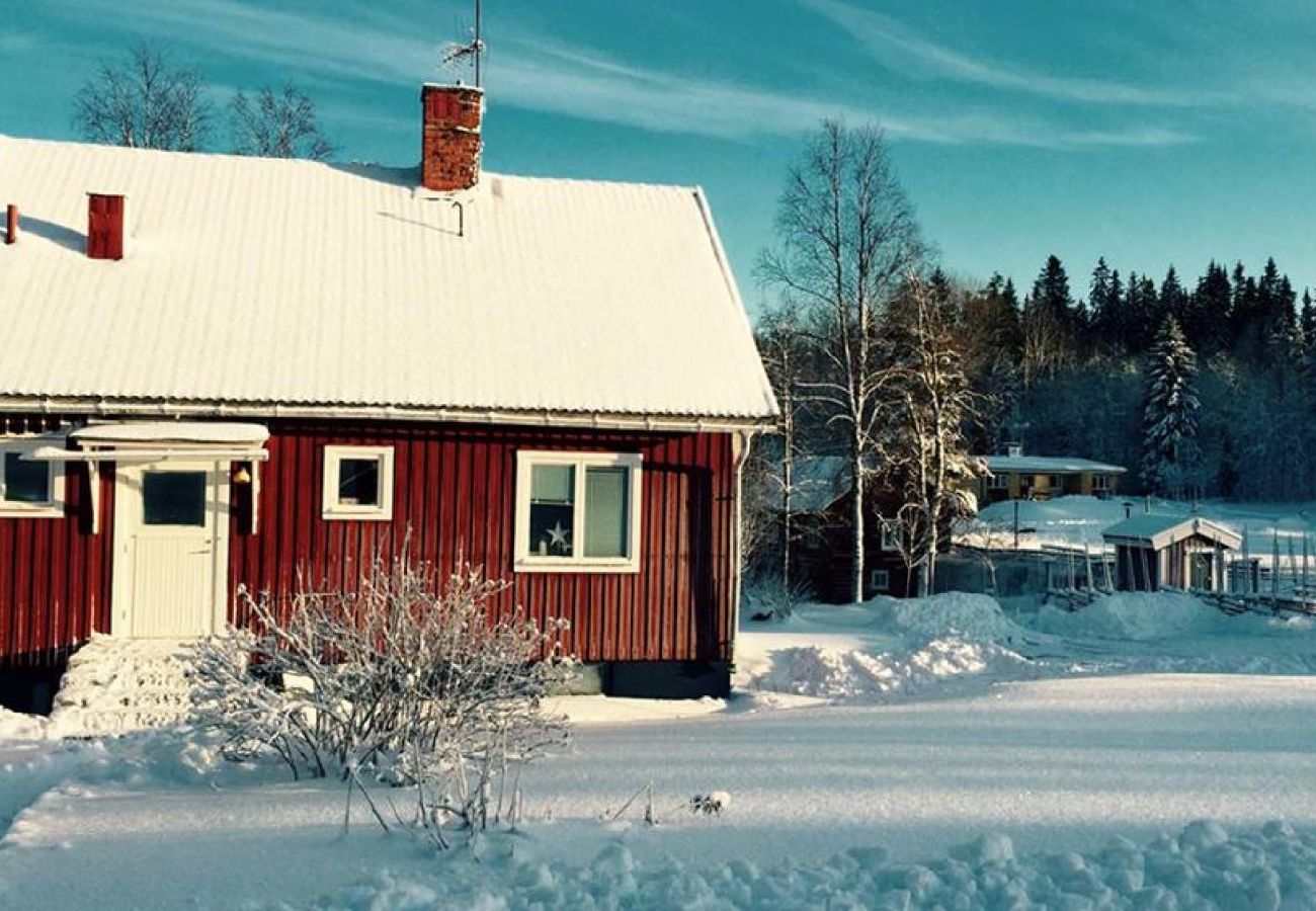 Ferienhaus in Sunnansjö - Ferienhaus 10 MInuten vom Skigebiet Säfsen