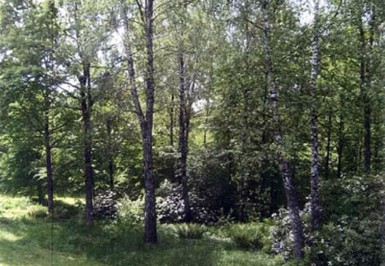 Ferienhaus in Tvärred - Ferienhaus ruhig und friedlich im Wald