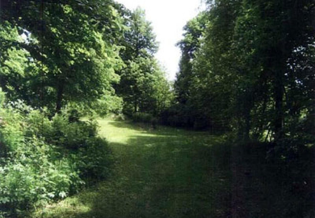 Ferienhaus in Tvärred - Ferienhaus ruhig und friedlich im Wald