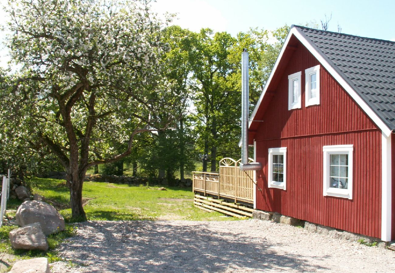 Ferienhaus in Väckelsång - Grosses Komfort-Ferienhaus mit privatem pool , Motorboot und Seeblick