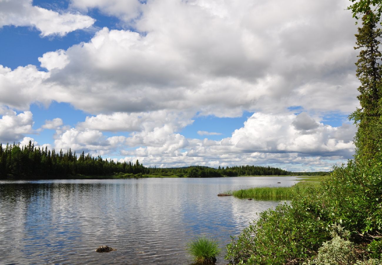 Ferienhaus in Sorsele - Abenteuer und Erholung in der einzigartigen Natur Lapplands