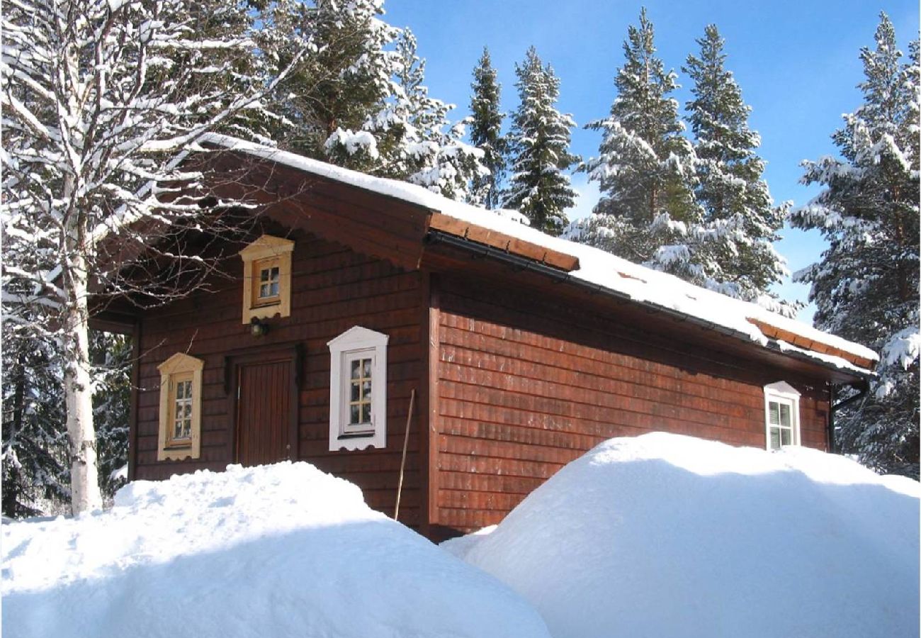 Ferienhaus in Sorsele - Abenteuer und Erholung in der einzigartigen Natur Lapplands