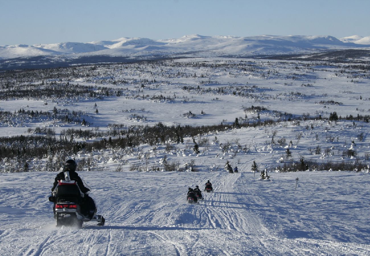 Ferienhaus in Föllinge - Urlaub auf einer Huskyfarm in der Wildnis von Jämtland