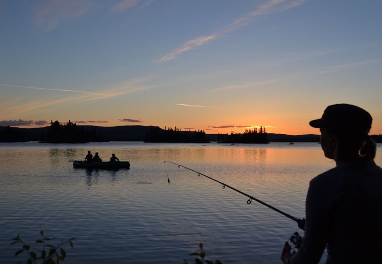 Ferienhaus in Föllinge - Urlaub auf einer Huskyfarm in der Wildnis von Jämtland