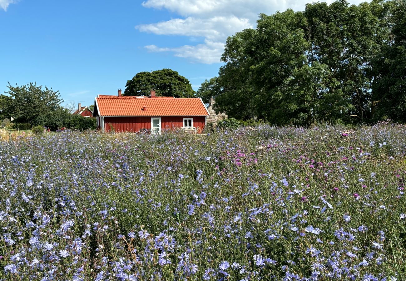 Ferienhaus in Borgholm - Öland zwischen Windmühle und Naturreservat