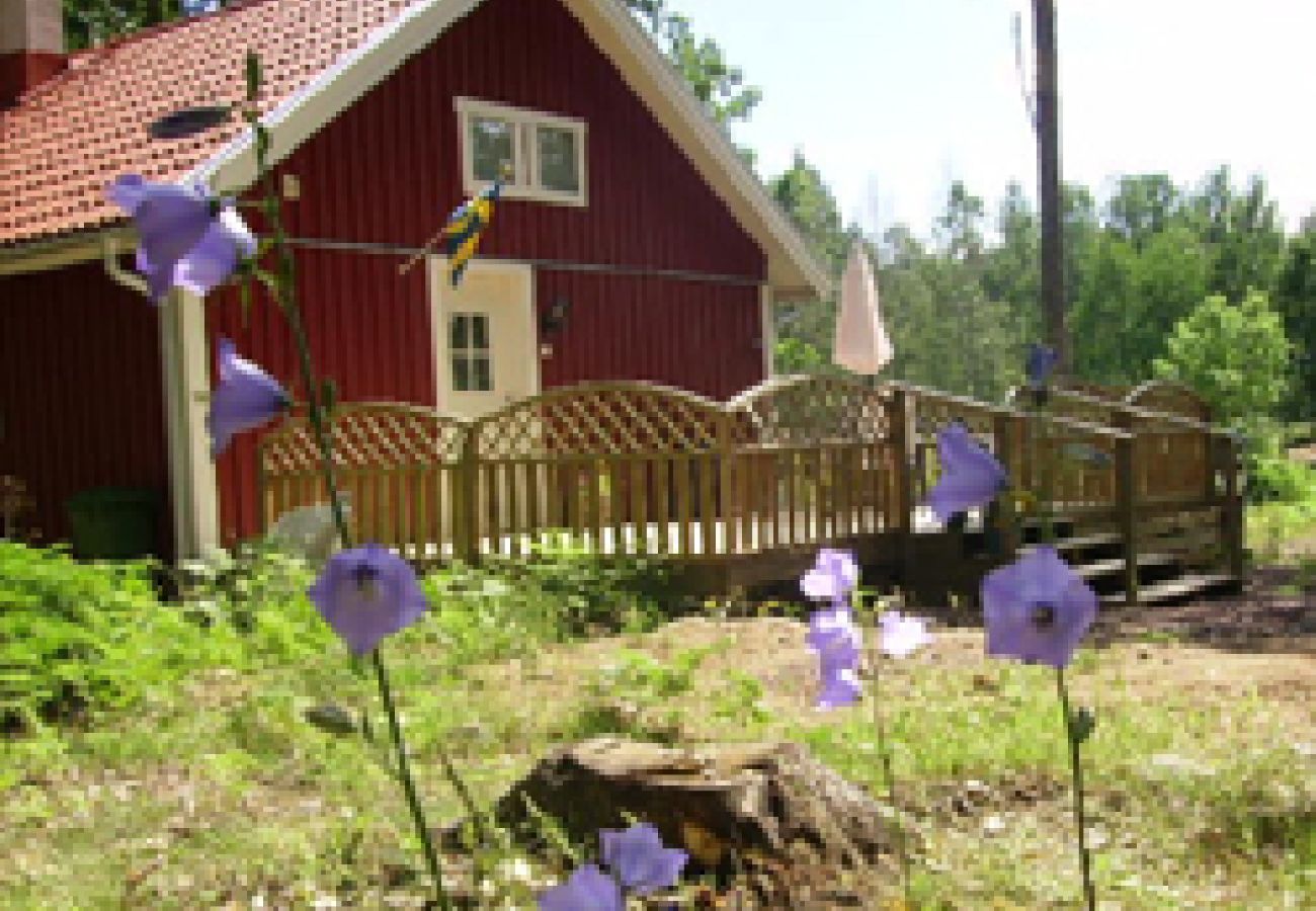 Ferienhaus in Oskarshamn - Ferienhausurlaub wo die Elche zu Hause sind