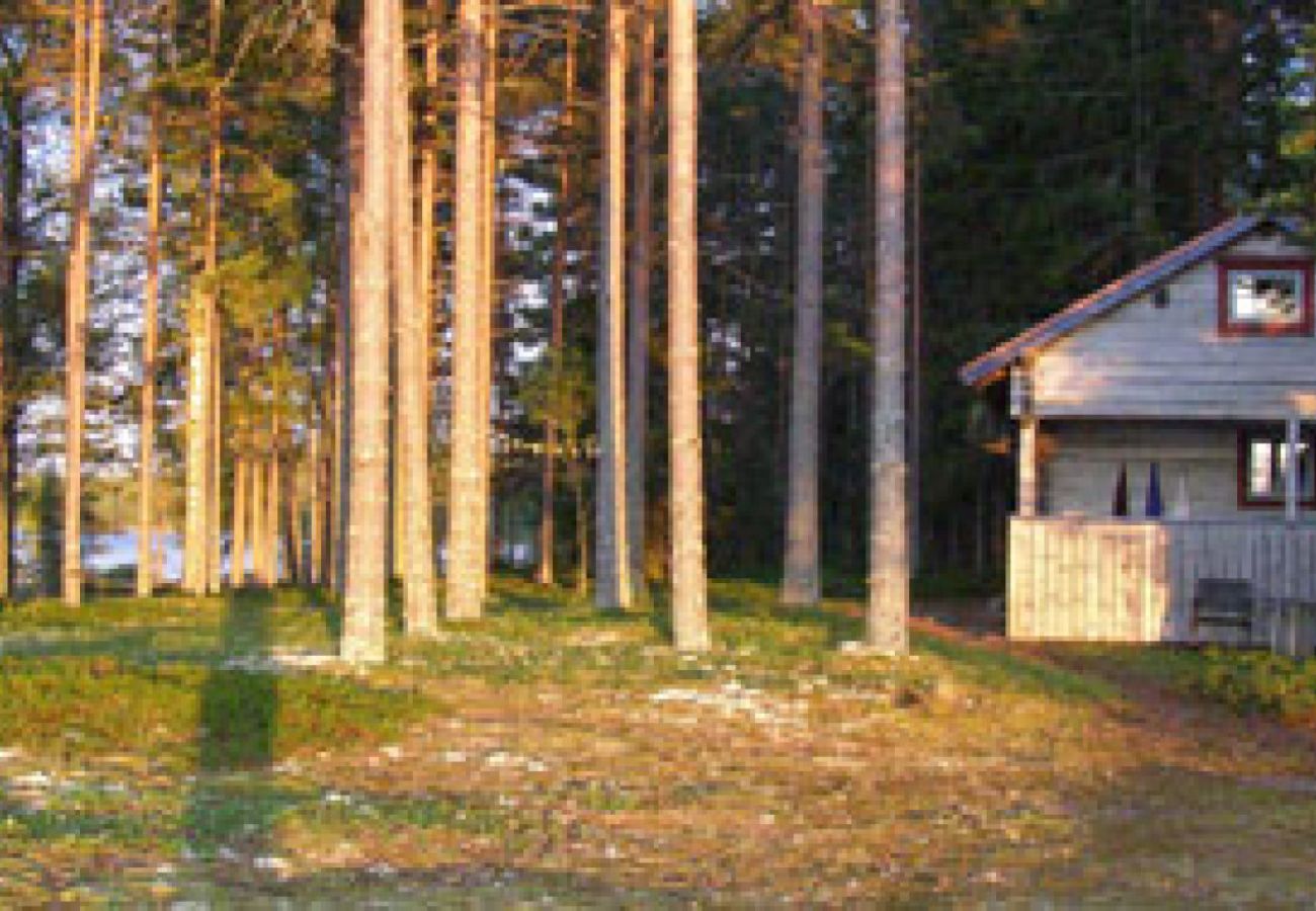 Ferienhaus in Furudal - Flugnäs udde