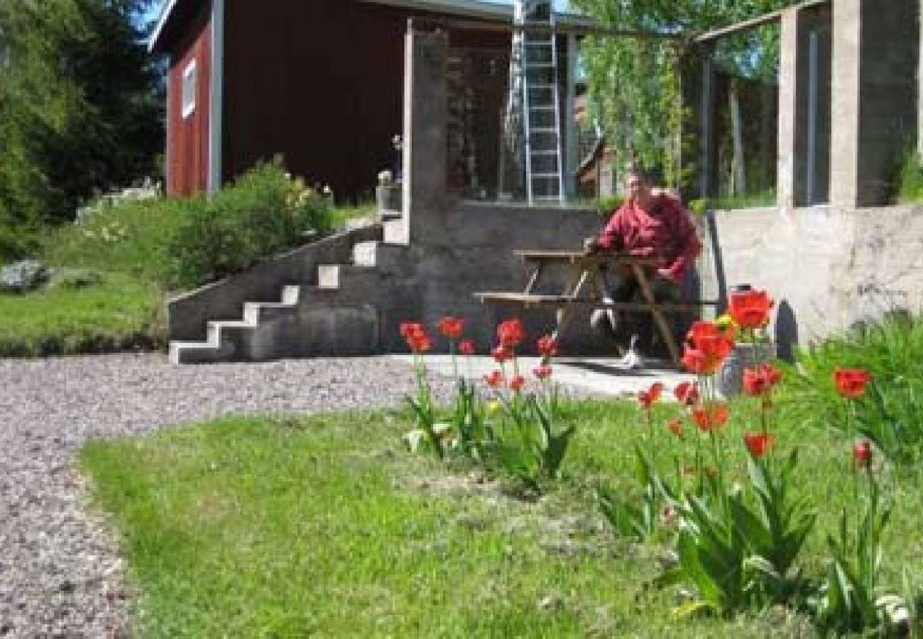 Ferienhaus in Edsbyn - Ferienhaus in Hälsingland mit Seeblick