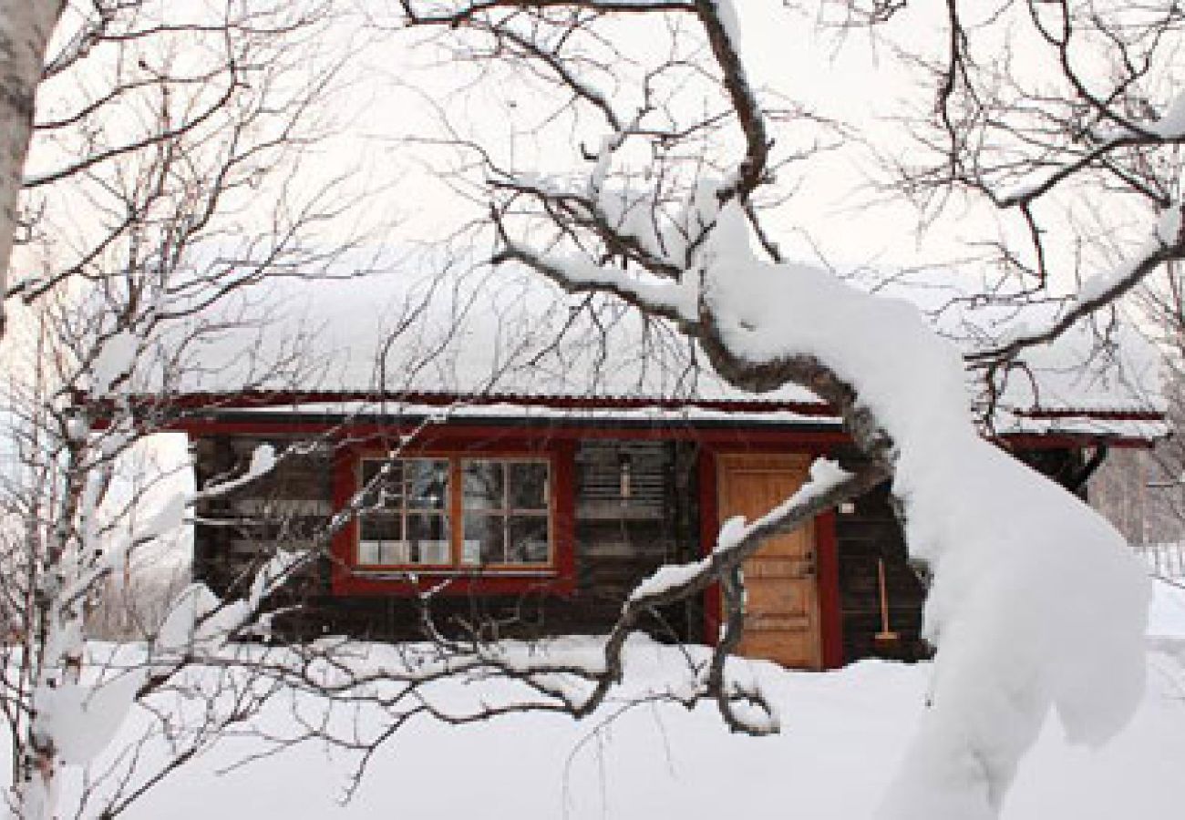 Ferienhaus in Dikanäs - Stuga Kittelfjäll