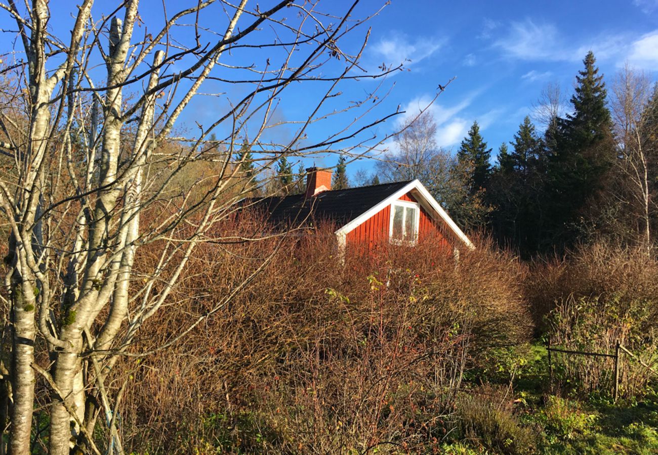 Ferienhaus in Moheda - Liebevoll eingerichtetes Ferienhaus in sehr ruhiger Lage