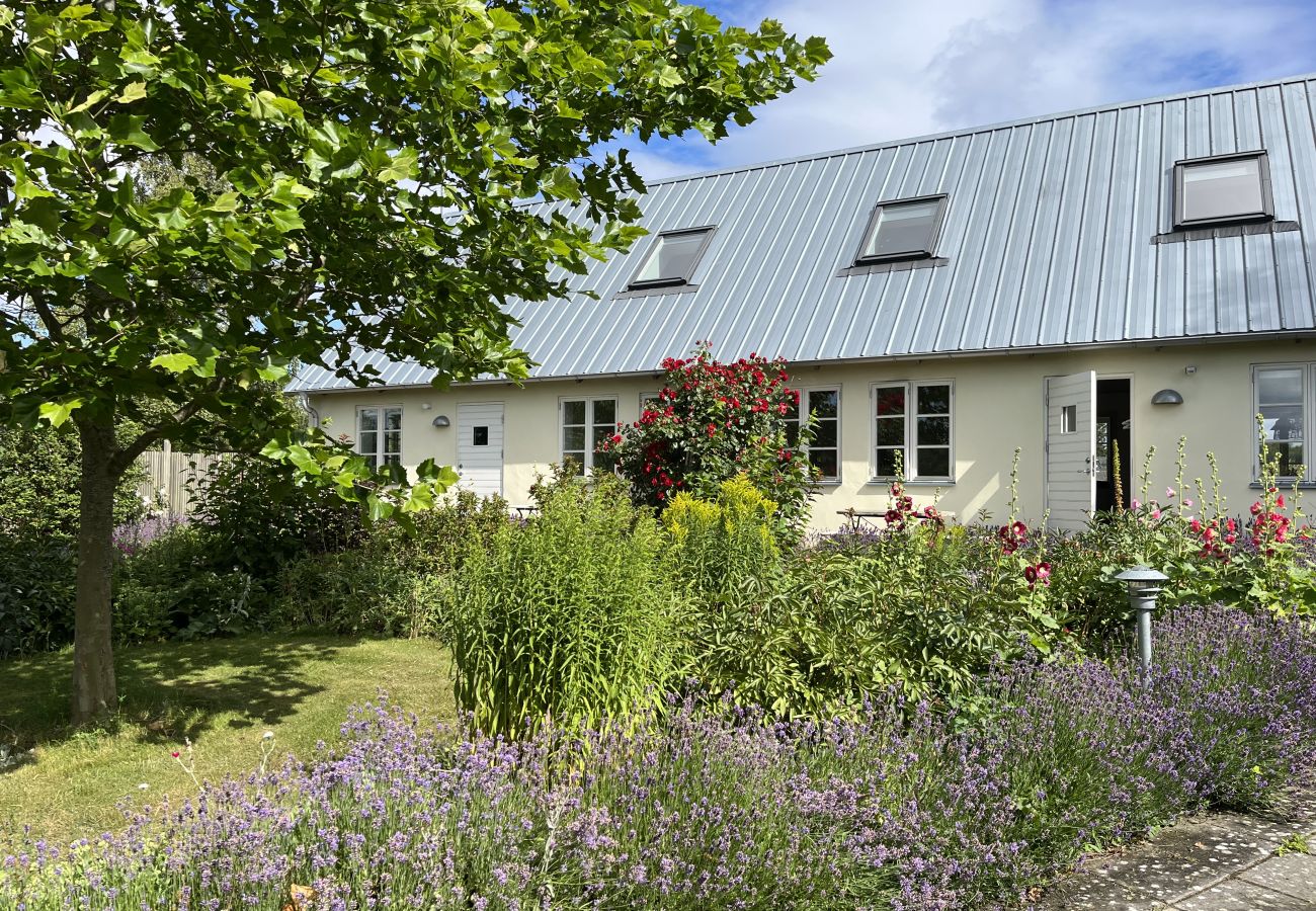 Ferienhaus in Kivik - Urlaub auf Österlen am Stenshuvud Nationalpark und Sandstrand