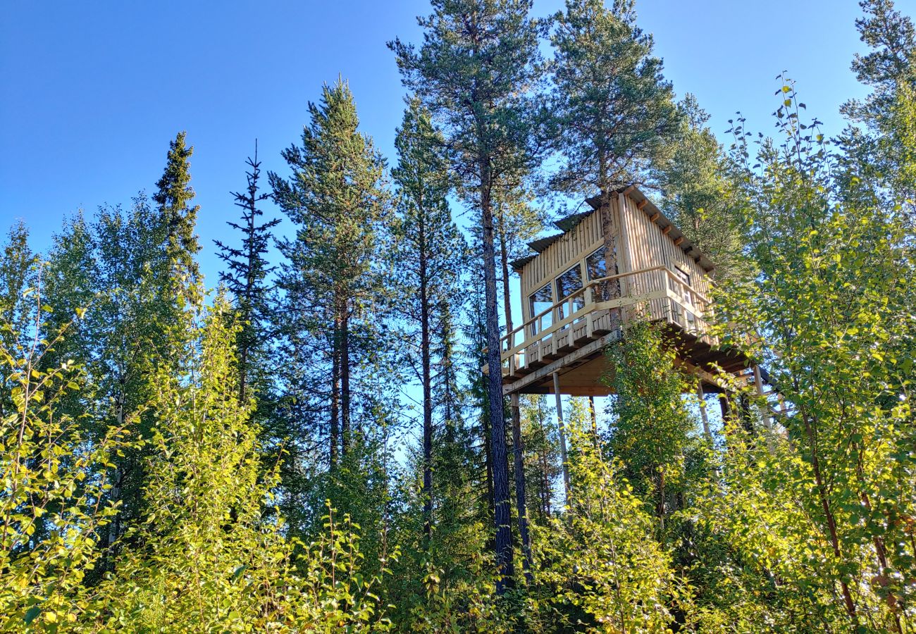 Ferienhaus in Arvidsjaur - Hoch in den Bäumen in Nordschweden  mit Seeblick und Elchen unter der Terrasse