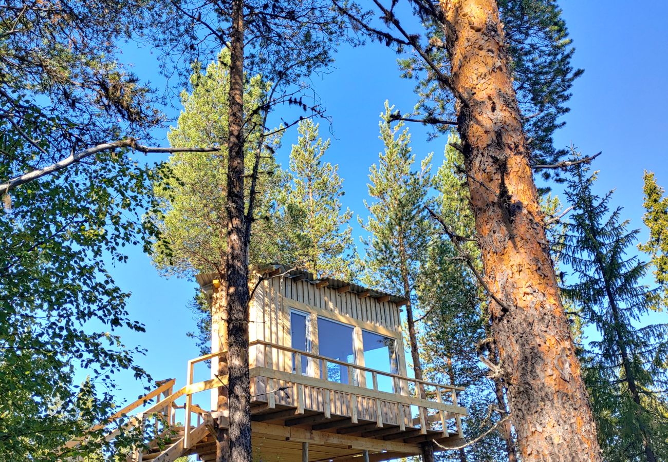 Ferienhaus in Arvidsjaur - Hoch in den Bäumen in Nordschweden  mit Seeblick und Elchen unter der Terrasse