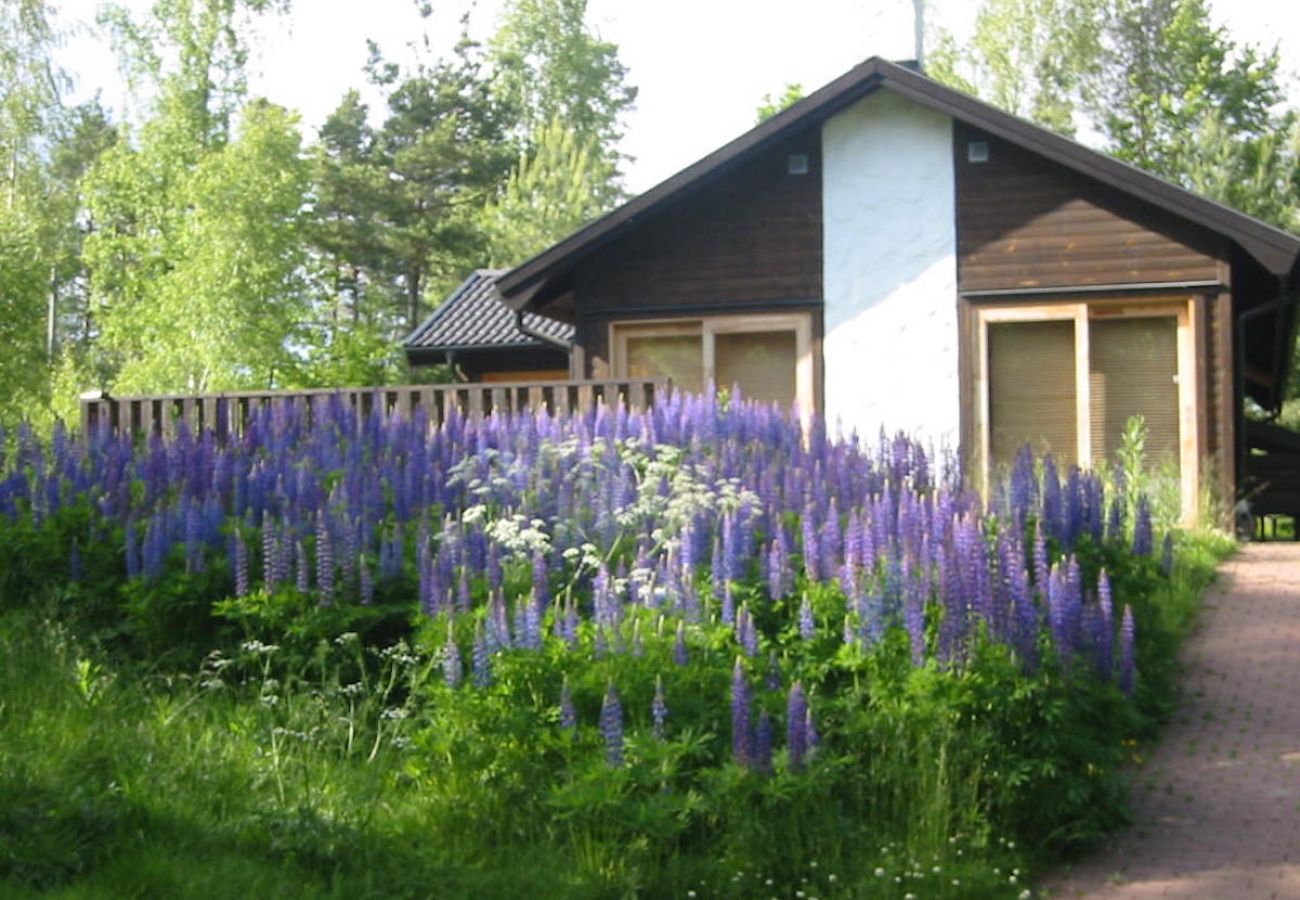 Ferienhaus in Diö - Smörahålan