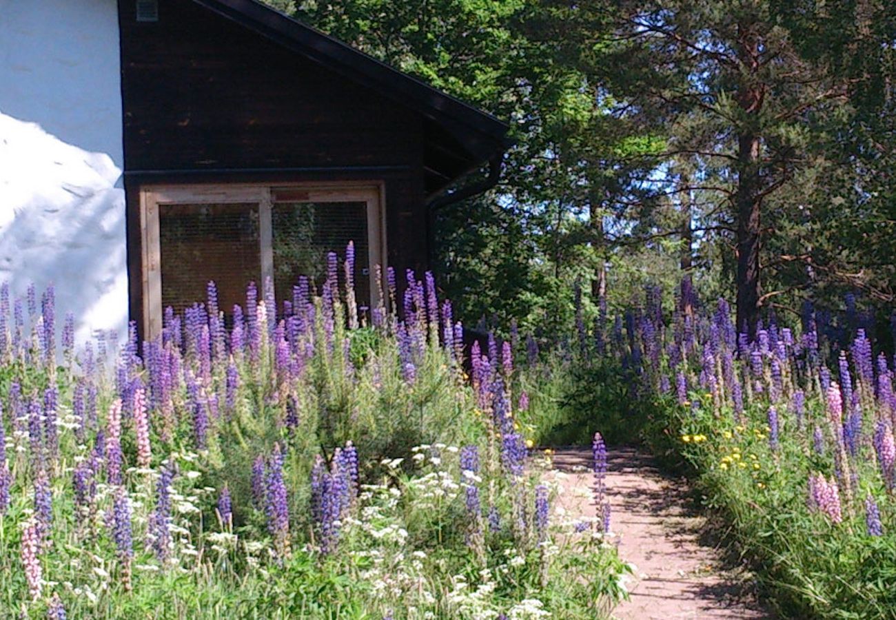 Ferienhaus in Diö - Smörahålan