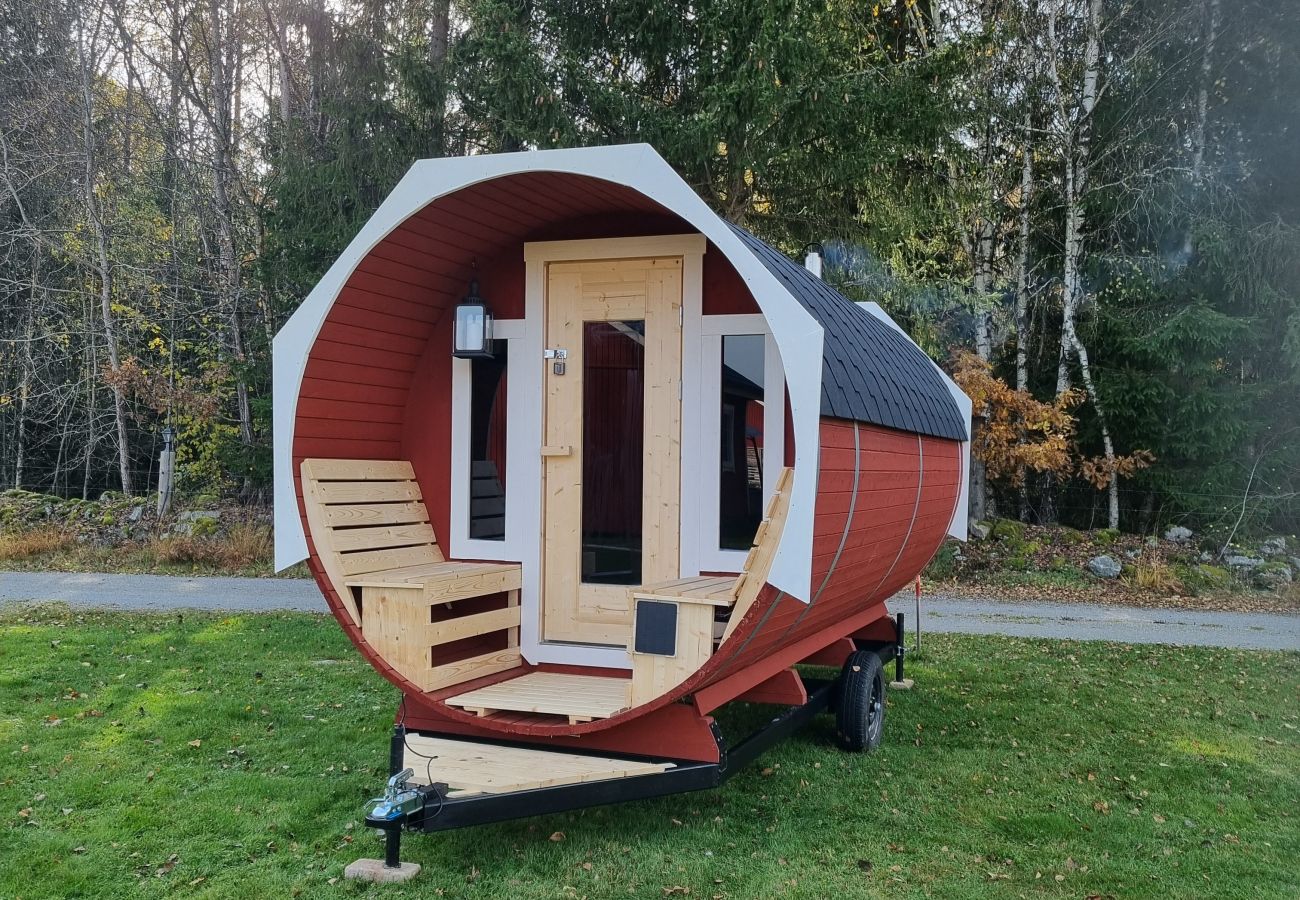 Ferienhaus in Väckelsång - Ferienhaus-Traum am See mit Pool, Internet, Sauna, Kamin och Motorboot