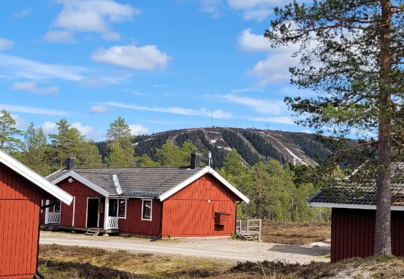 Ferienhaus in Sälen - Skiurlaub in den Bergen oder Wanderurlaub mit Sauna Fusse der Berge