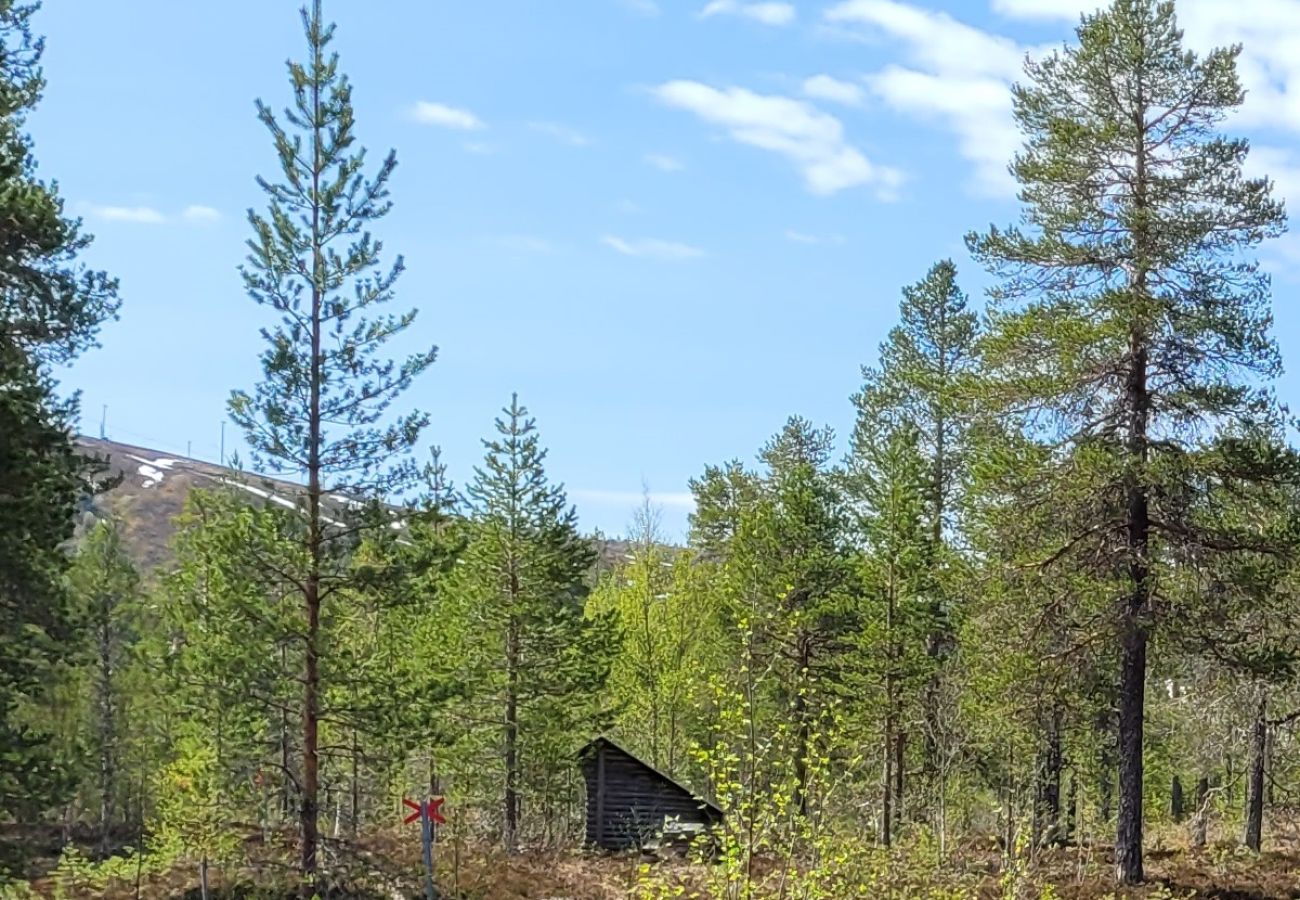 Ferienhaus in Sälen - Skiurlaub in den Bergen oder Wanderurlaub mit Sauna Fusse der Berge