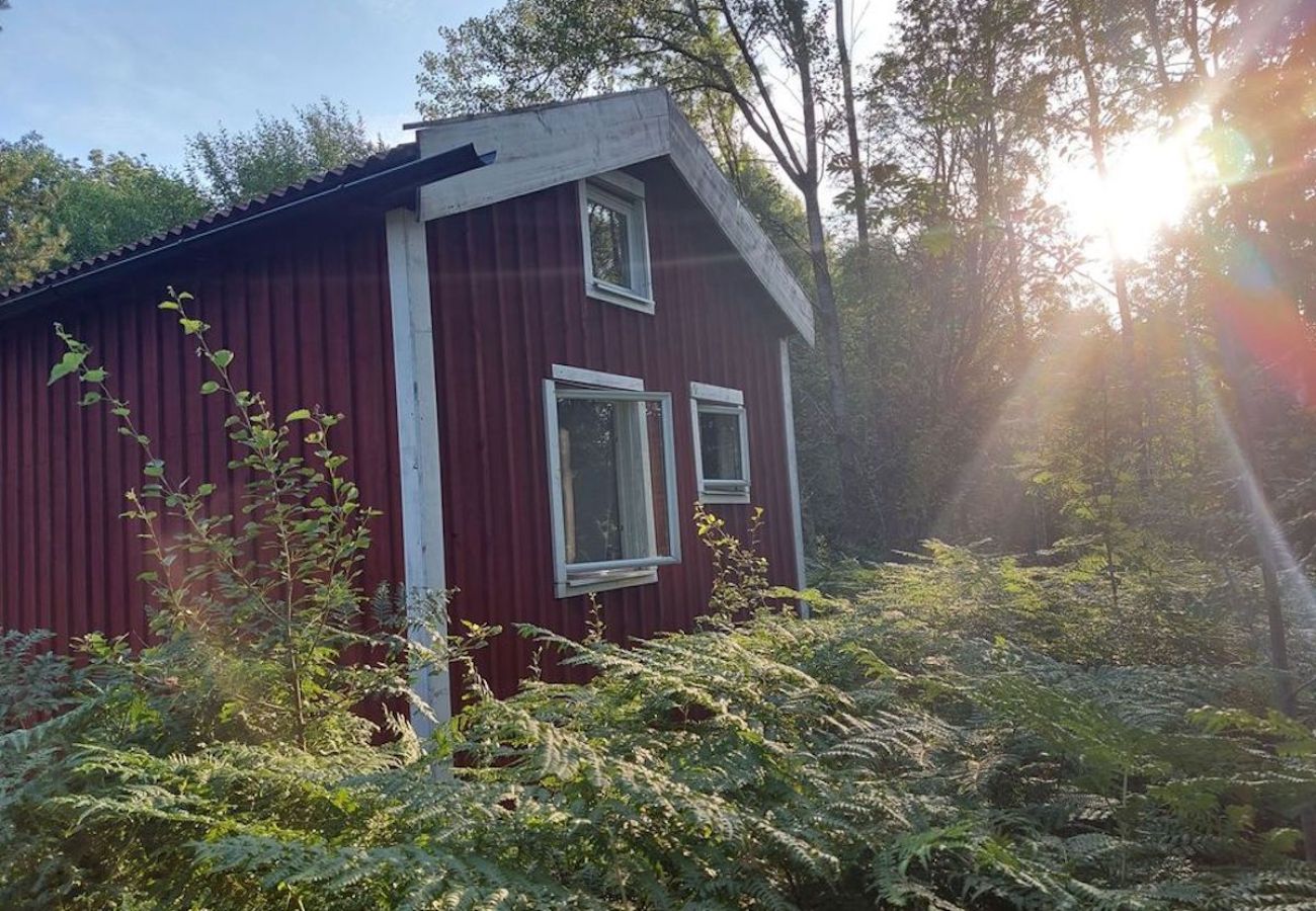 Ferienhaus in Torestorp - Natururlaub in Schwedens südlichster Wildnis, umgeben von Wald und See.