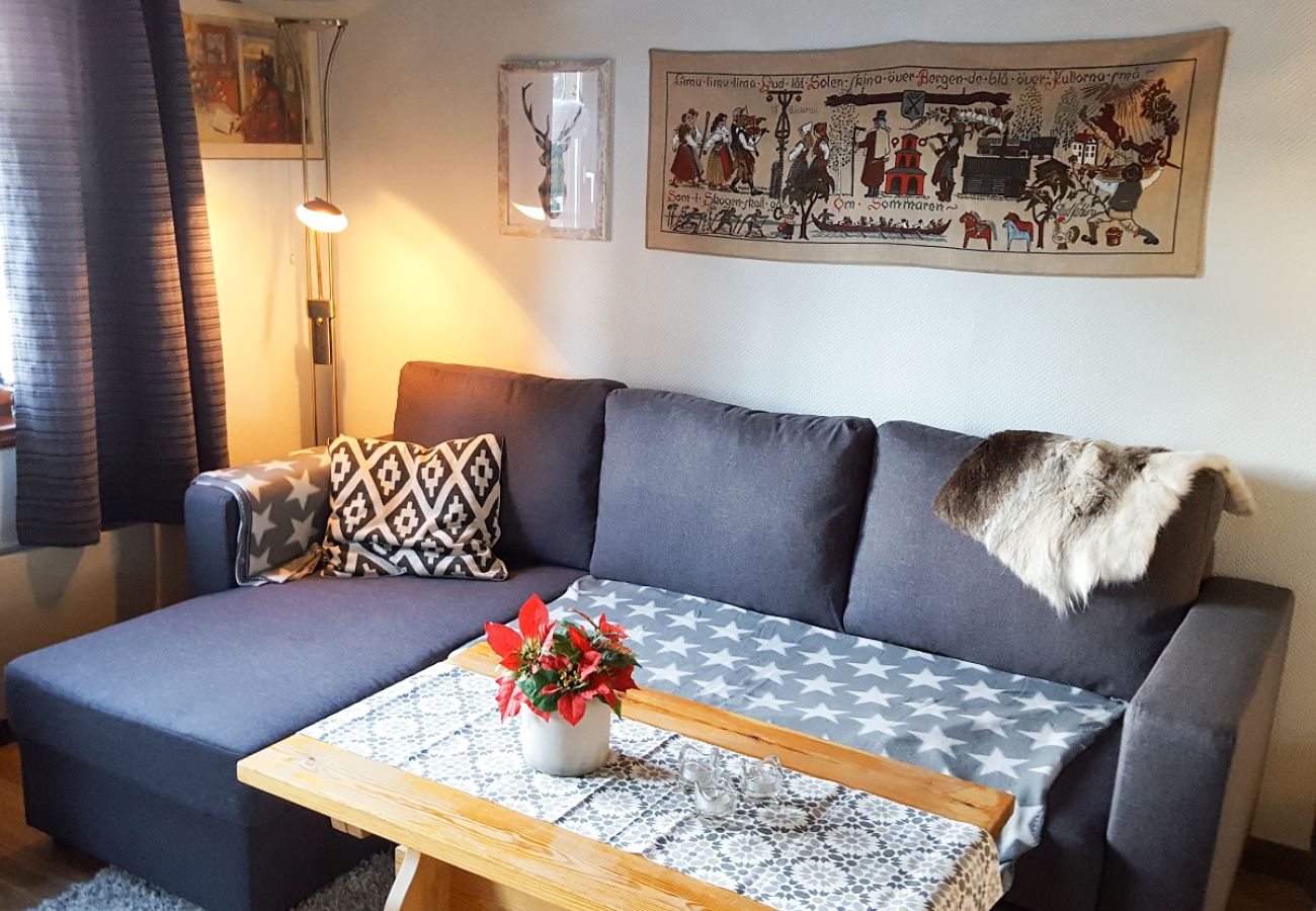 Ferienwohnung in Sälen - Ski in – Ski out - Modernes Apartment nur 50 Meter vom Skilift 