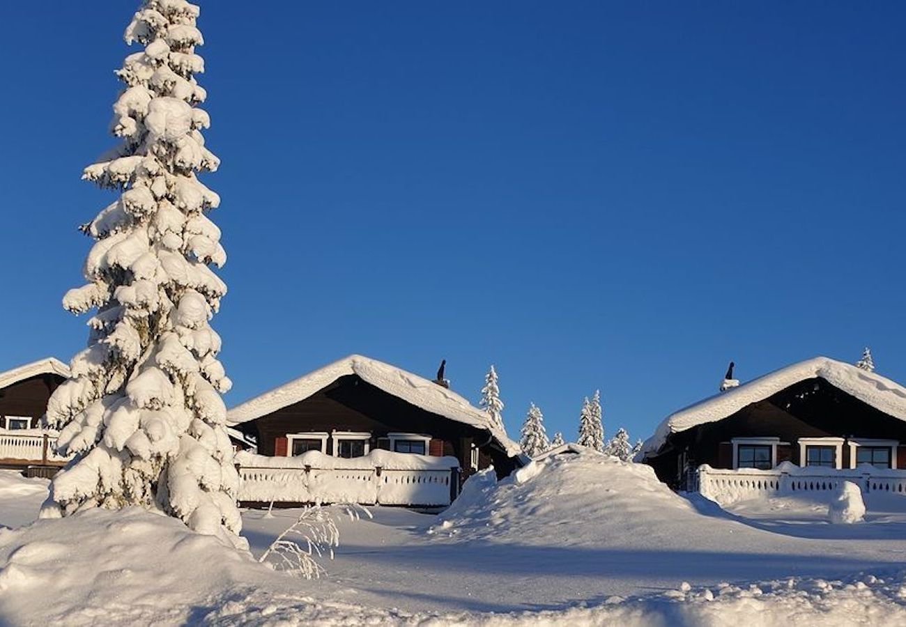 Ferienwohnung in Sälen - Ski in – Ski out - Modernes Apartment nur 50 Meter vom Skilift 