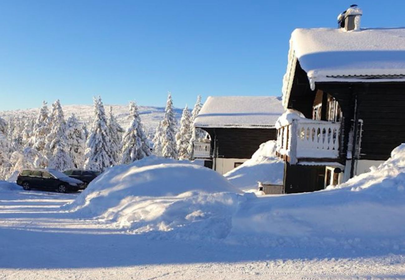 Ferienwohnung in Sälen - Ski in – Ski out - Modernes Apartment nur 50 Meter vom Skilift 