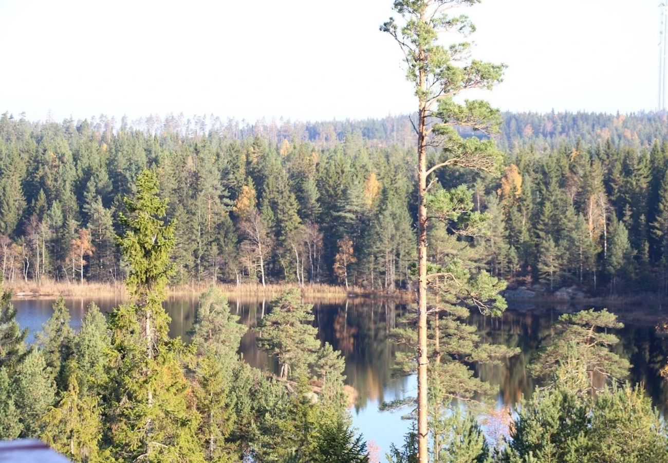 Ferienhaus in Bäckefors - Ferienhaus inmitten von Dalslands Wald- und Seenlandschaft