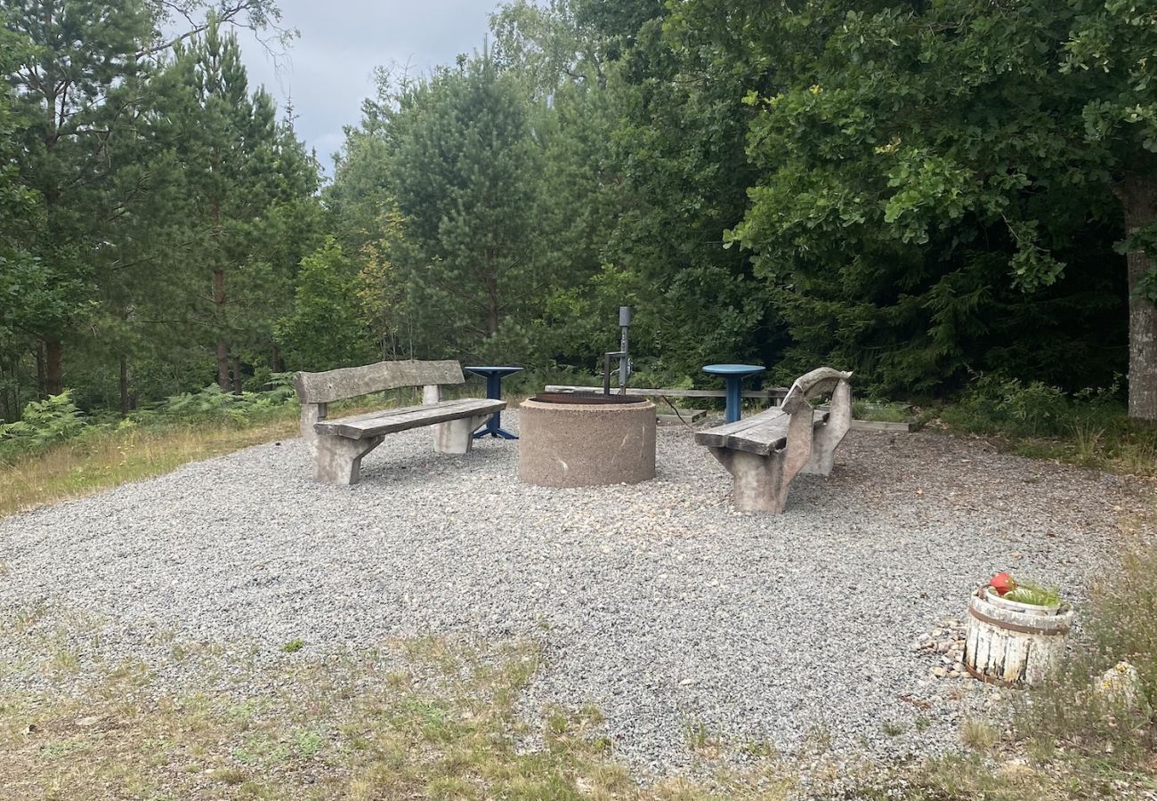 Ferienhaus in Vissefjärda - Grosses modernes Ferienhaus mitten im Wald und am See mit riesiger Terrasse