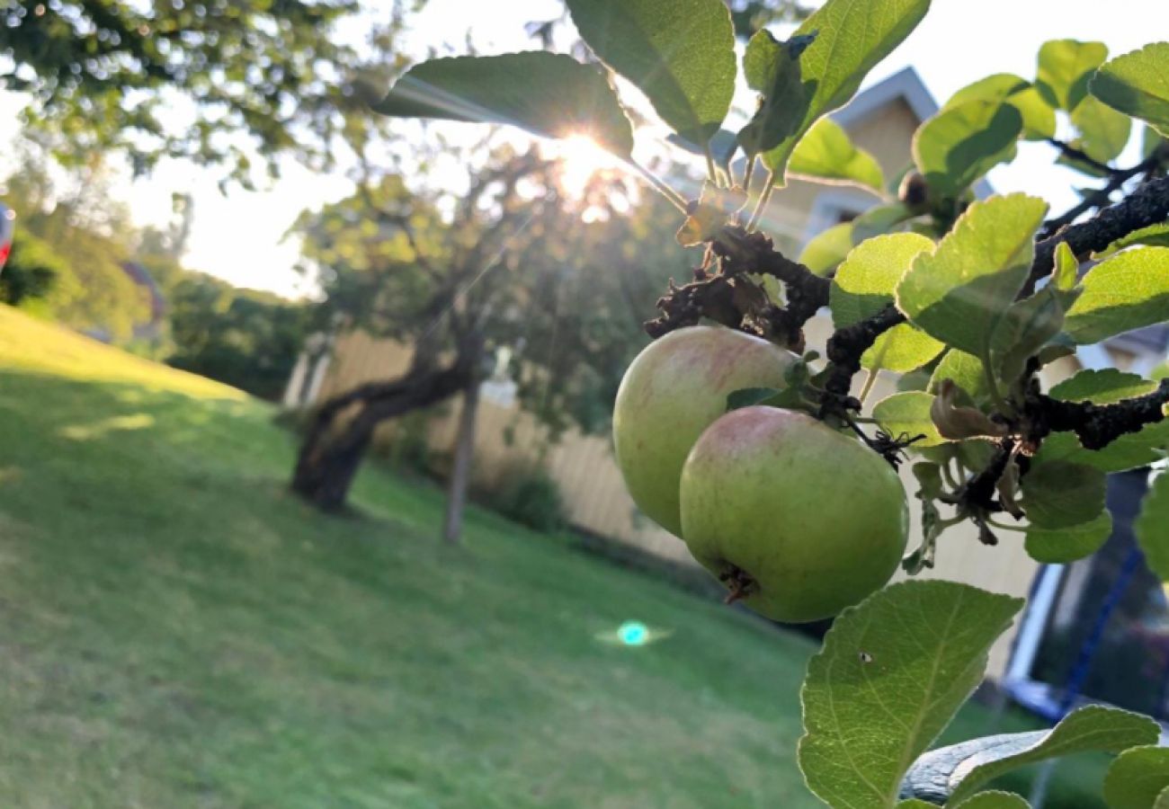 Ferienhaus in Mörlunda - Schönes Ferienhaus mit eigenem Obstgarten in Småland