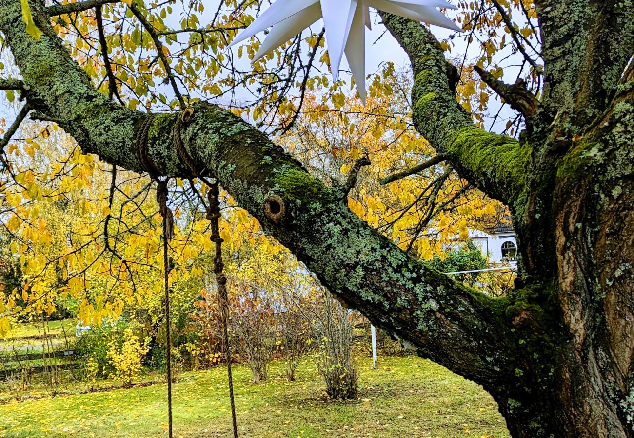 Ferienhaus in Mörlunda - Schönes Ferienhaus mit eigenem Obstgarten in Småland