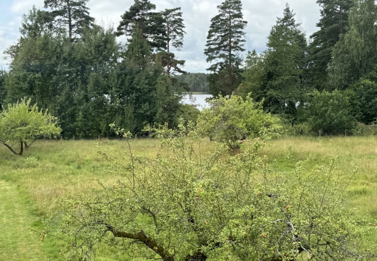 Ferienhaus in Hovmantorp - Grosses Ferienhaus direkt am See