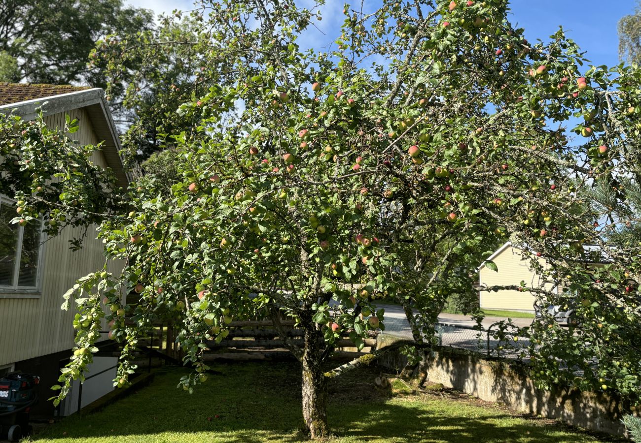 Ferienhaus in Älghult - Modernes grosses Ferienhaus unweit von See in Småland