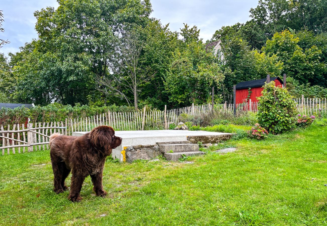 Ferienhaus in Sölvesborg - Geräumiges Ferienhaus an der Ostseeküste für die grosse Familie