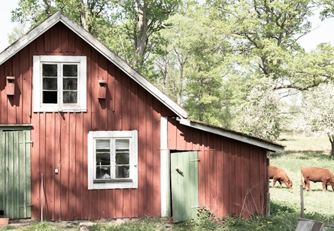 Ferienhaus in Annerstad - Liebevoll eingerichtetes Ferienhaus am Fluss und Seenähe perfekt zum Angeln und Relaxen