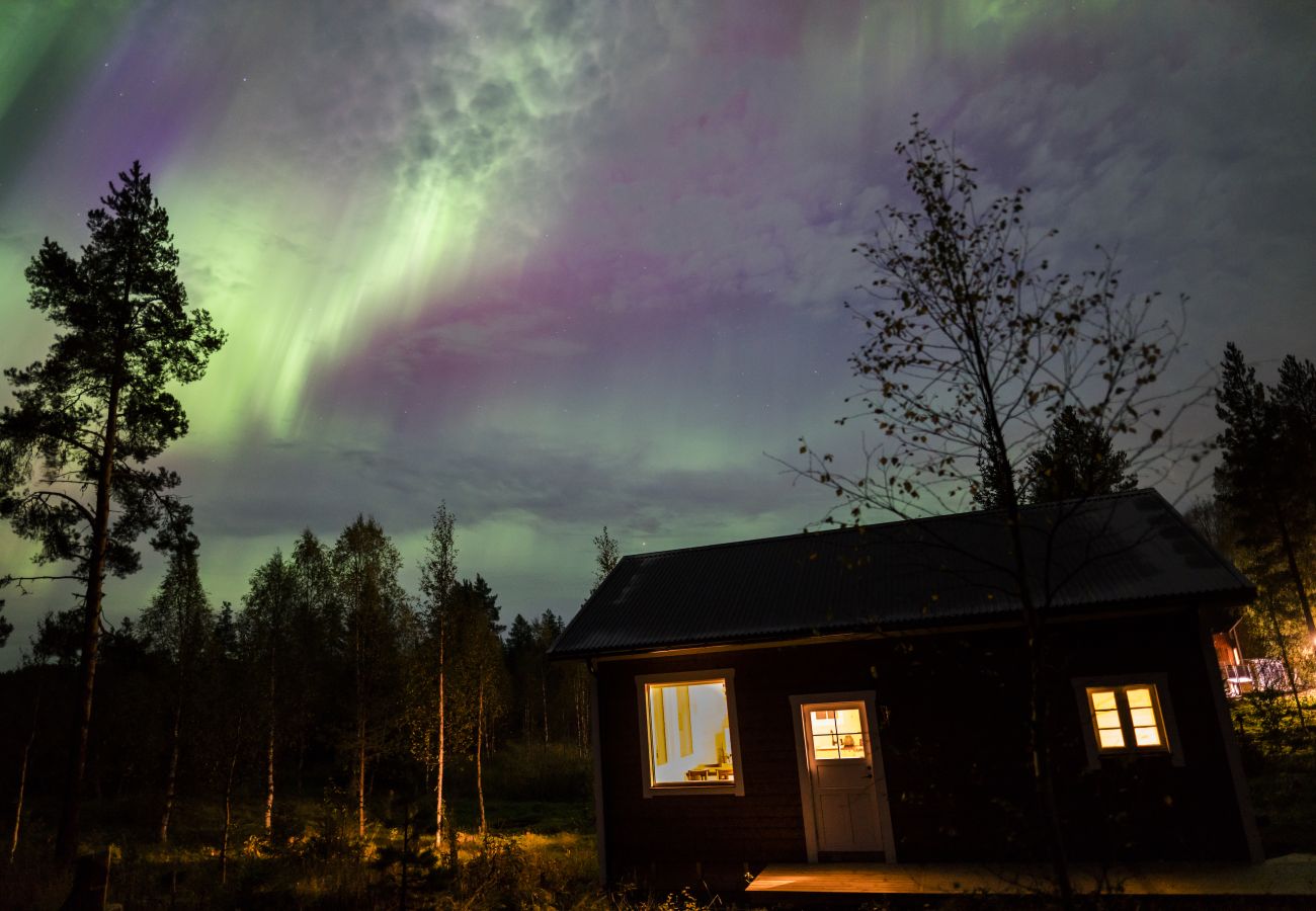 Ferienhaus in Gunnarsbyn - Nordlandurlaub mitten im Wald mit Polarlichtern und Hundeschlitten