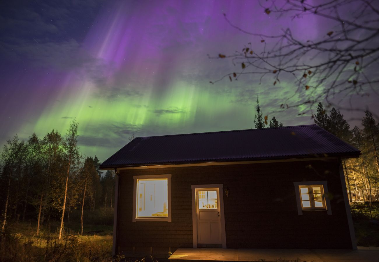 Ferienhaus in Gunnarsbyn - Nordlandurlaub mitten im Wald mit Polarlichtern und Hundeschlitten