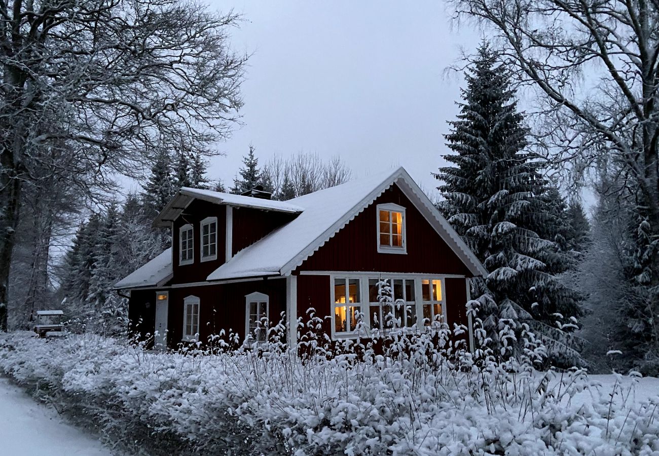 Ferienhaus in Hallaryd - Liebevoll restaurierte alte Schule mit eigener Sauna 