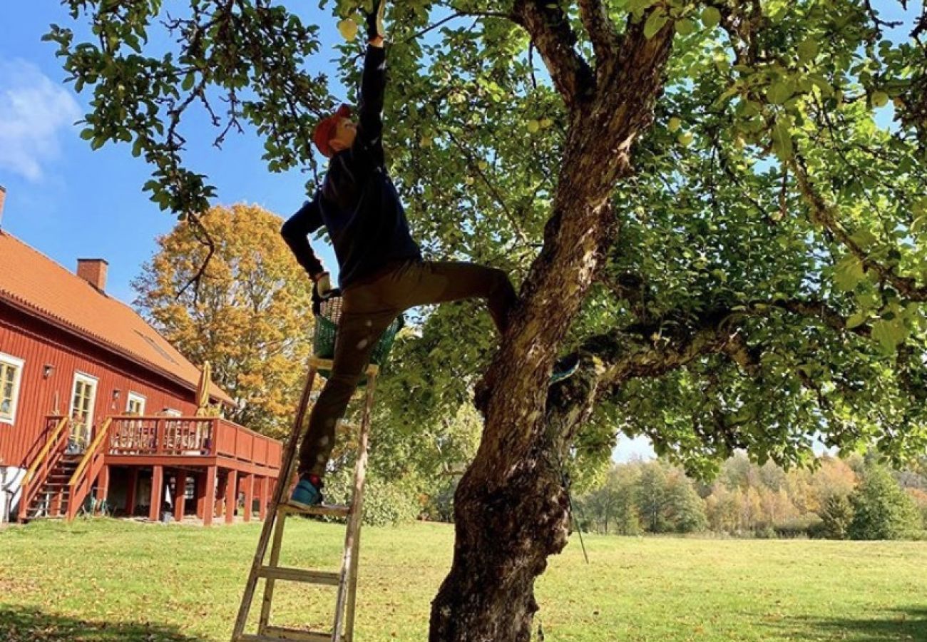 Ferienhaus in Tystberga - Urlaub auf einem Herrensitz in Sörmland an der Küste und den Schären