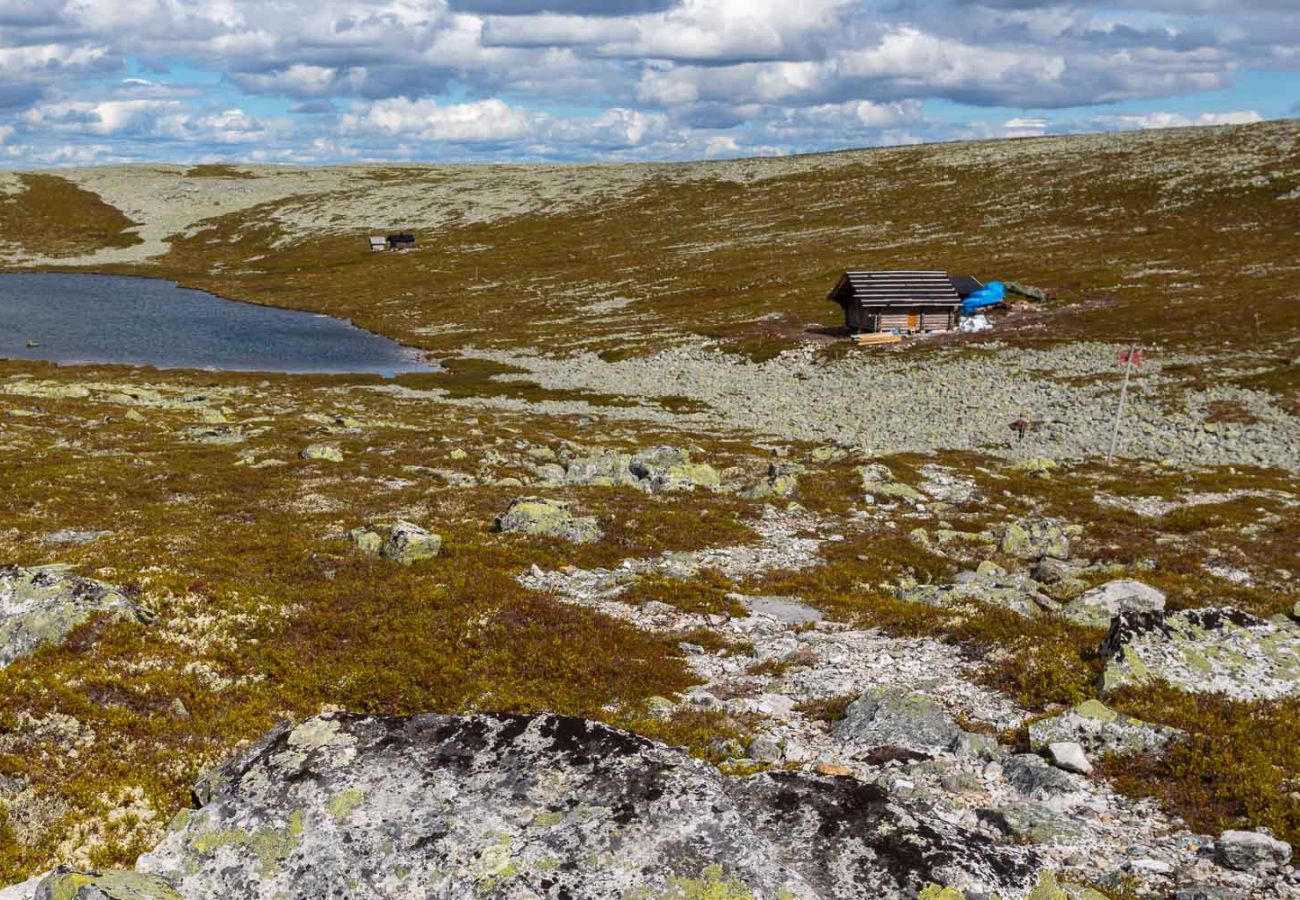 Ferienhaus in Vemdalen - Gemütliche Berghütte in Björnrike - perfekt für Familien und kleine Gruppen!